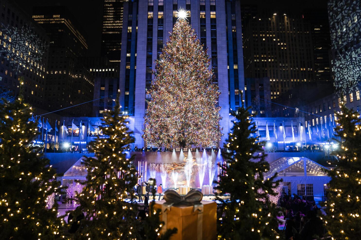 Rockin around the Christmas tree Rockefeller tree lit up AP News